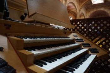 The story of the organ